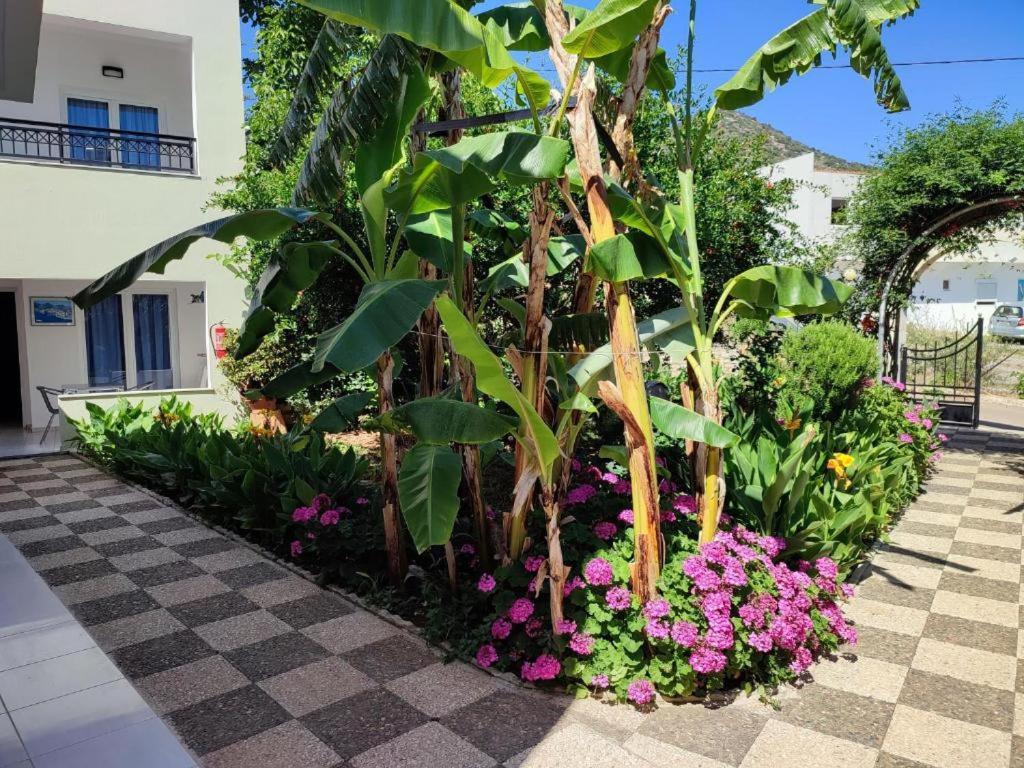 Dorian Bali Apartments Esterno foto